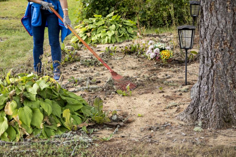 Garden Cleanup detail