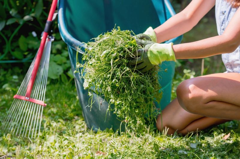 Contact About Garden Cleanup